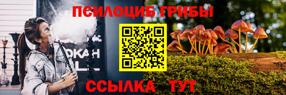 Новосибирск  Галлюциногенные грибы Psilocybe  Вход с VPN 
