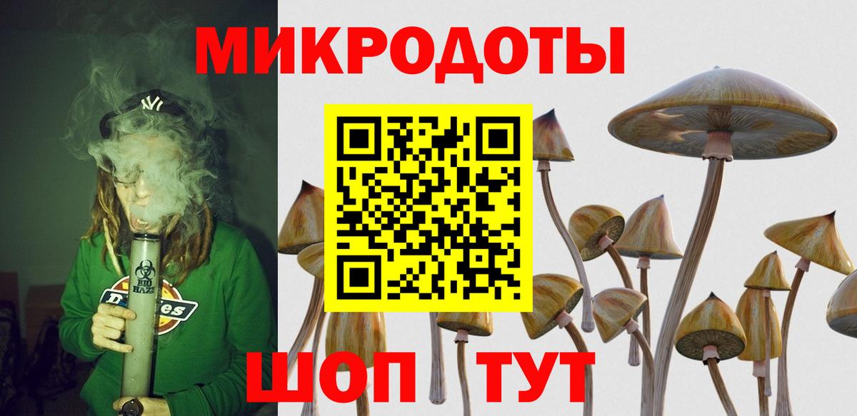Псилоцибиновые грибы GOLDEN TEACHER Новосибирск